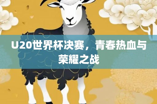 U20世界杯决赛，青春热血与荣耀之战眉山市正发家政服务有限公司