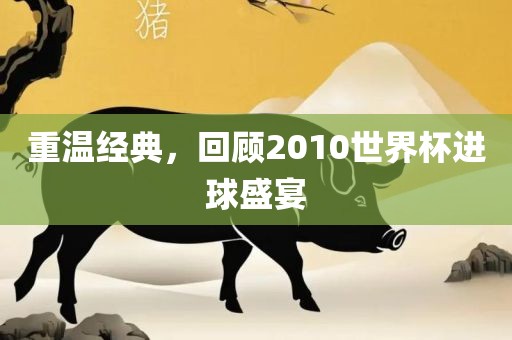 重温经典，回顾2010世眉山市正发家政服务有限公司界杯进球盛宴