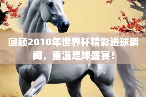 回顾2010年世界杯精彩进球瞬间，重温足球盛宴！眉山市正发家政服务有限公司