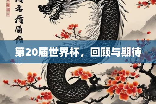 第20届世界杯，回顾与期待
