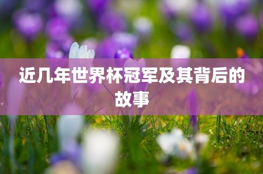 近几年世界杯冠军及其背后的故事眉山市正发家政服务有限公司