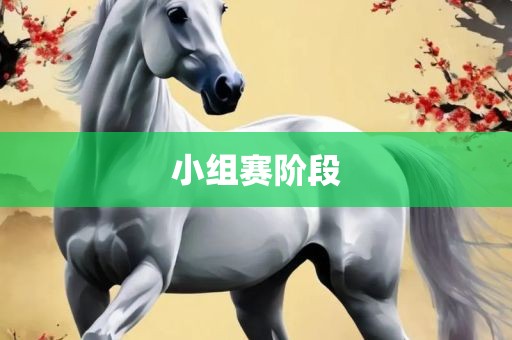 小组赛