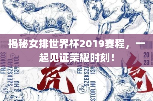 揭秘女排世界杯2019赛程，一起见证荣耀眉山市正发家政服务有限公司时刻！