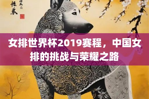 女排世界杯2019赛程，中国女排的挑战与荣耀之路