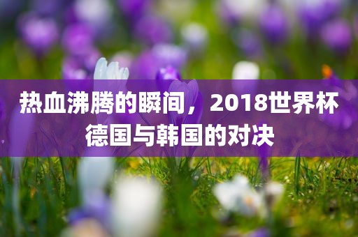 热血沸腾的瞬间，2018世界杯德国与韩国的对决眉山市正发家政服务有限公司
