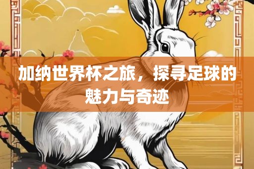 加纳世界杯之旅，探寻足球的魅力与奇迹眉山市正发家政服务有限公司