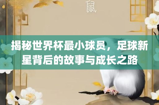 揭秘世界杯最小球员，足球新星背后的故事与成长之路眉山市正发家政服务有限公司