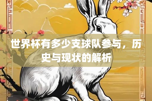 世界杯有多少支球队参与，历史与现状的解析