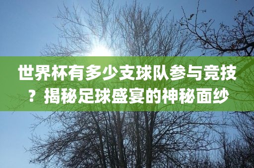 世界杯有多少支球队参与竞技？揭秘足球盛宴的神秘面纱眉山市正发家政服务有限公司