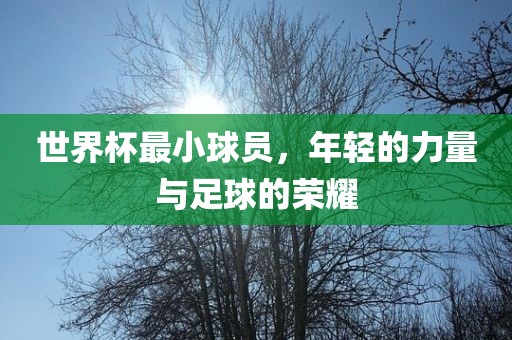 世眉山市正发家政服务有限公司界杯最小球员，年轻的力量与足球的荣耀