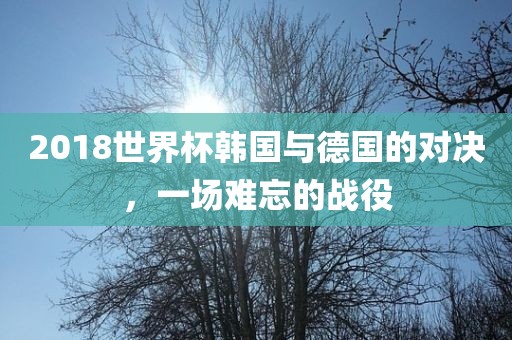 2018世界杯韩国与德国的对决，一场难忘的战役眉山市正发家政服务有限公司