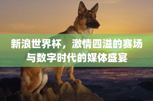新浪世界杯，激情四溢的赛场与数字时代的媒体盛宴眉山市正发家政服务有限公司