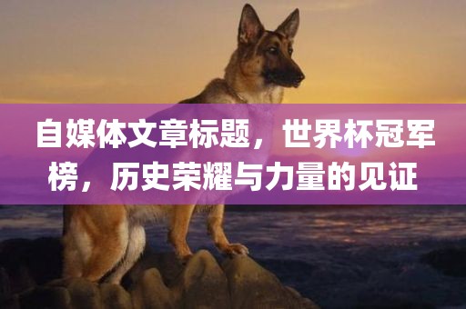 自媒体文章标题，世界杯冠军榜，历史荣耀与力量的见证眉山市正发家政服务有限公司