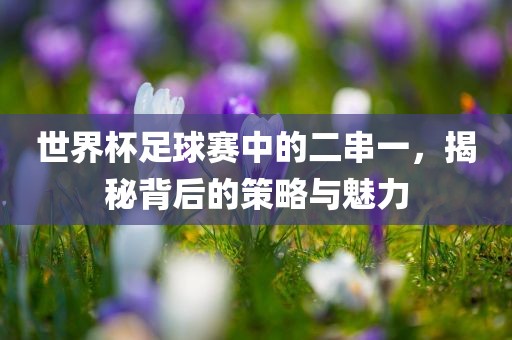 世界杯足球赛中的二串一，揭秘背后的策略与魅力眉山市正发家政服务有限公司