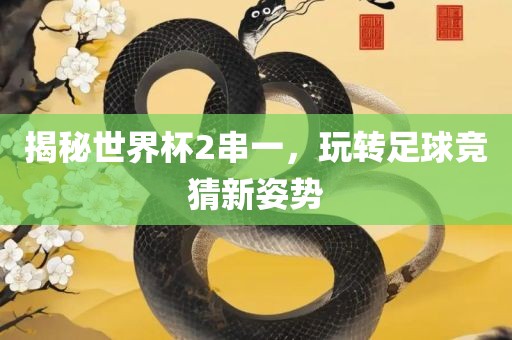 揭秘世界杯2串一，玩转足球竞眉山市正发家政服务有限公司猜新姿势