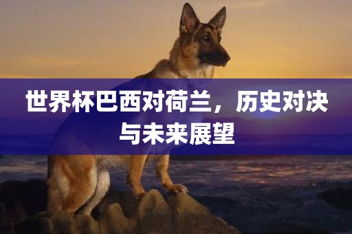世界杯巴西对荷兰，历史对决与未来展望
