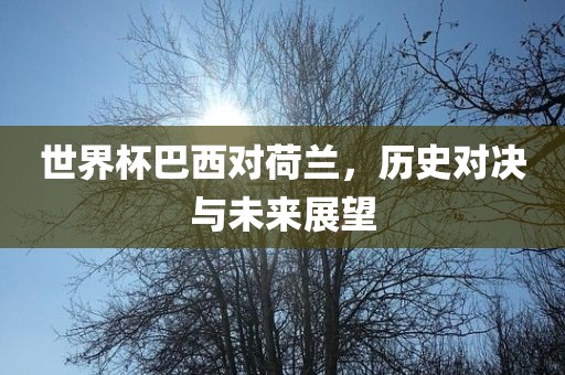 世界杯巴西对荷兰，历史对决与未来展望眉山市正发家政服务有限公司