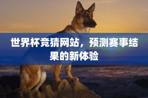 世界杯竞猜网站，预测赛事结果的新体验