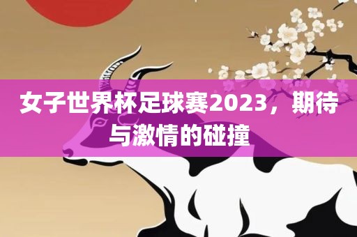 女子世界杯足球赛2023，期待与激情的碰撞眉山市正发家政服务有限公司