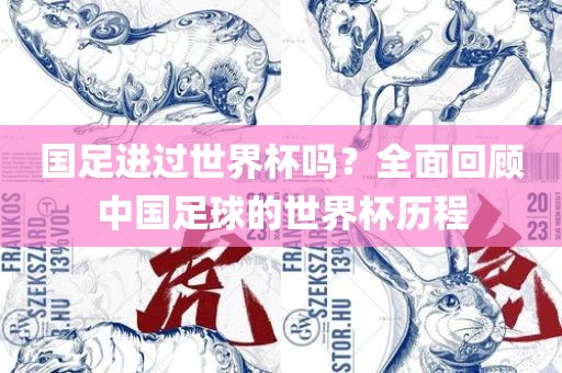 huangqianqian 第5页