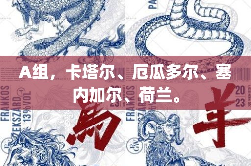 A组，卡塔尔、厄瓜多尔、塞内加尔、荷兰。眉山市正发家政服务有限公司