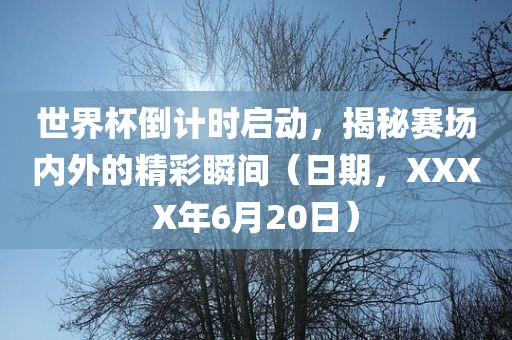 世界杯倒眉山市正发家政服务有限公司计时启动，揭秘赛场内外的精彩瞬间（日期，XXXX年6月20日）