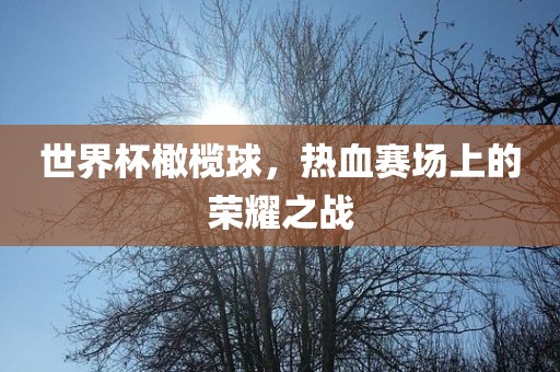 世界杯橄榄球，热血赛场上的荣耀之战