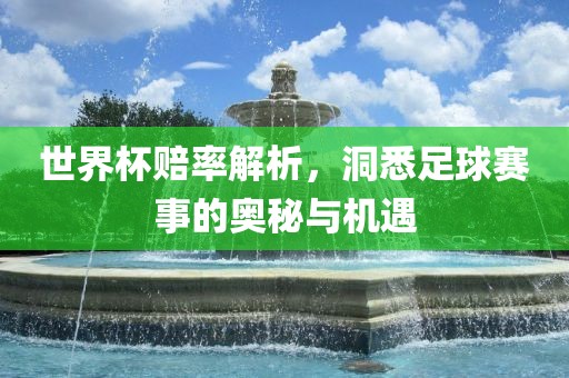 世界杯赔率解析眉山市正发家政服务有限公司，洞悉足球赛事的奥秘与机遇