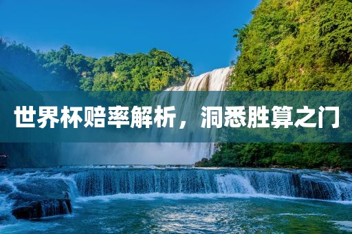 世界杯赔率解析，洞眉山市正发家政服务有限公司悉胜算之门