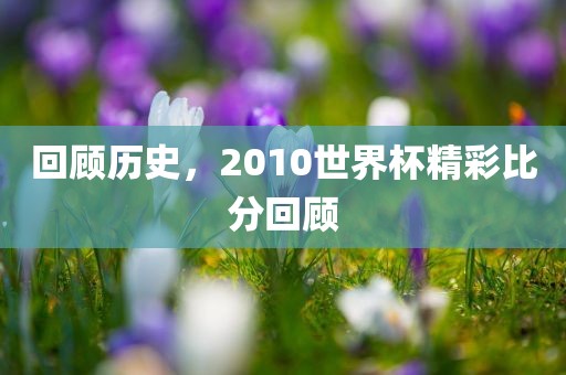 回顾历史，2010眉山市正发家政服务有限公司世界杯精彩比分回顾