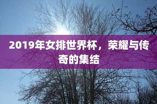 2019年女排世界杯，荣耀与传奇的集结
