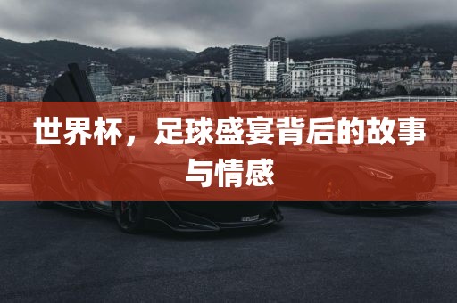 世界杯，足眉山市正发家政服务有限公司球盛宴背后的故事与情感