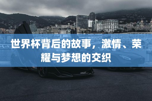 世界杯背后的故事，激情、荣耀与梦想的眉山市正发家政服务有限公司交织
