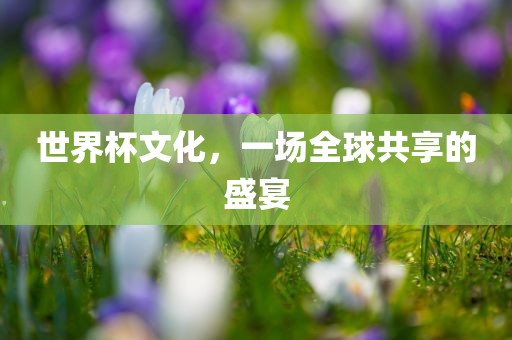 世界杯文化，一场全球共享的盛宴