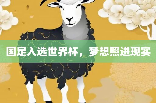 国足入选世界杯，梦想照进现实