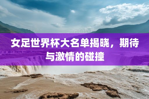 女足世界杯大名单揭晓，期待与激情的碰撞眉山市正发家政服务有限公司
