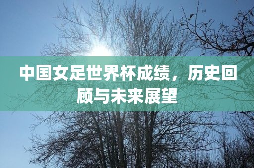 中国女足世界杯成绩，历史回顾与未来展望
