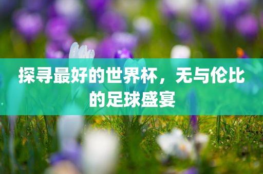 探寻最好的世界杯，无与伦比的足球盛宴眉山市正发家政服务有限公司