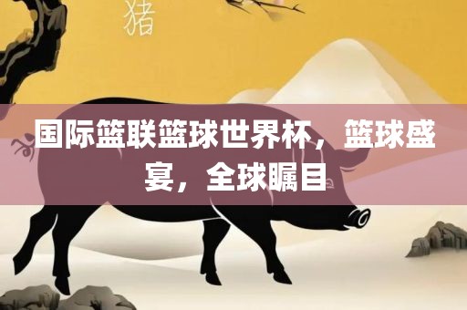 国际篮联篮球世界杯，篮球盛宴，全球瞩目眉山市正发家政服务有限公司