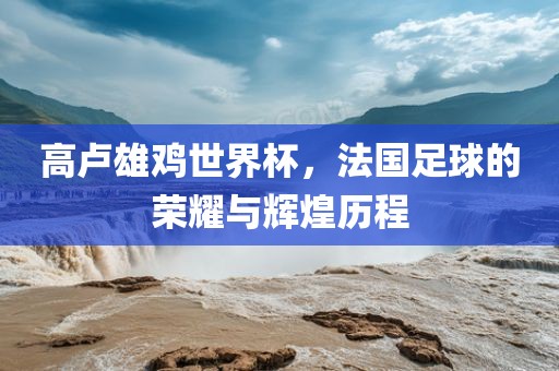 高卢雄鸡世界杯，法国足球的荣耀与辉煌历程眉山市正发家政服务有限公司
