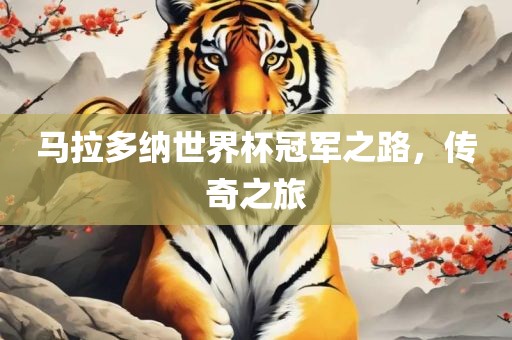 马拉多纳世界杯冠军之路，传奇之旅眉山市正发家政服务有限公司