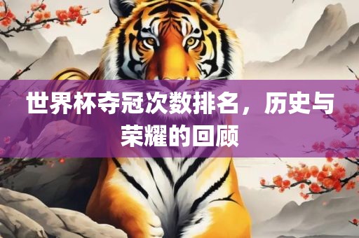 世界杯夺冠次数排名，历史与眉山市正发家政服务有限公司荣耀的回顾