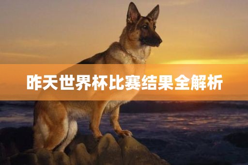 昨天世界杯比赛结果全解析