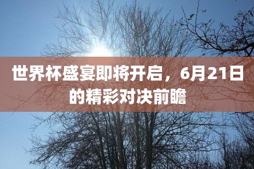 世界杯盛宴即将开启，6月21日的精彩对决前瞻眉山市正发家政服务有限公司