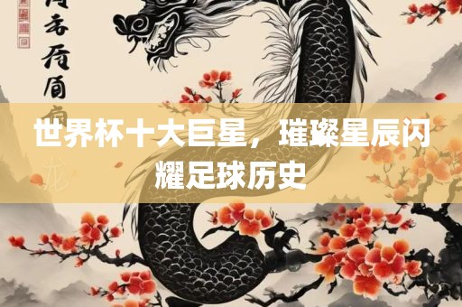 世界杯十大巨星，璀璨星辰闪耀足球眉山市正发家政服务有限公司历史