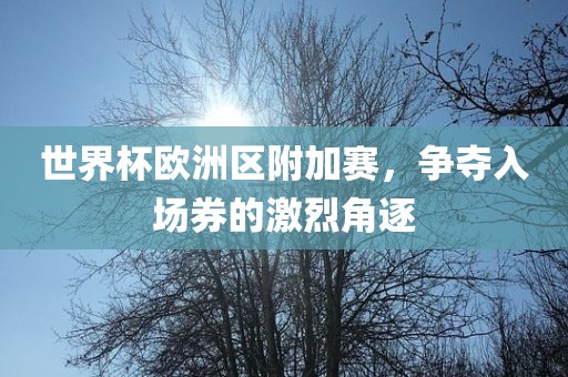 世界杯欧洲区附加赛，争夺入场券的激烈角逐