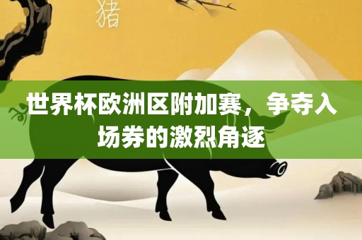 世界杯欧洲区附加赛，争夺入场券的激烈角逐
