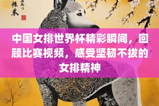 中国女排世界杯精彩瞬间，回顾比赛视频，感受坚韧不拔的女排精神眉山市正发家政服务有限公司