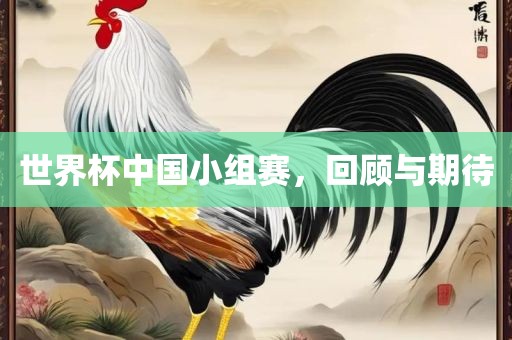 世界杯中国小组赛，回顾与期待