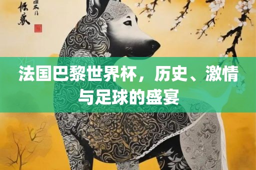 法国巴黎世界杯，历史、激情与足球的盛宴